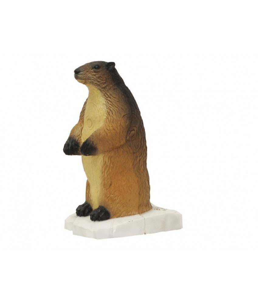 SRT - Cible 3D Marmotte