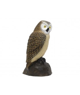 SRT - Cible 3D Chouette (Screech Owl)