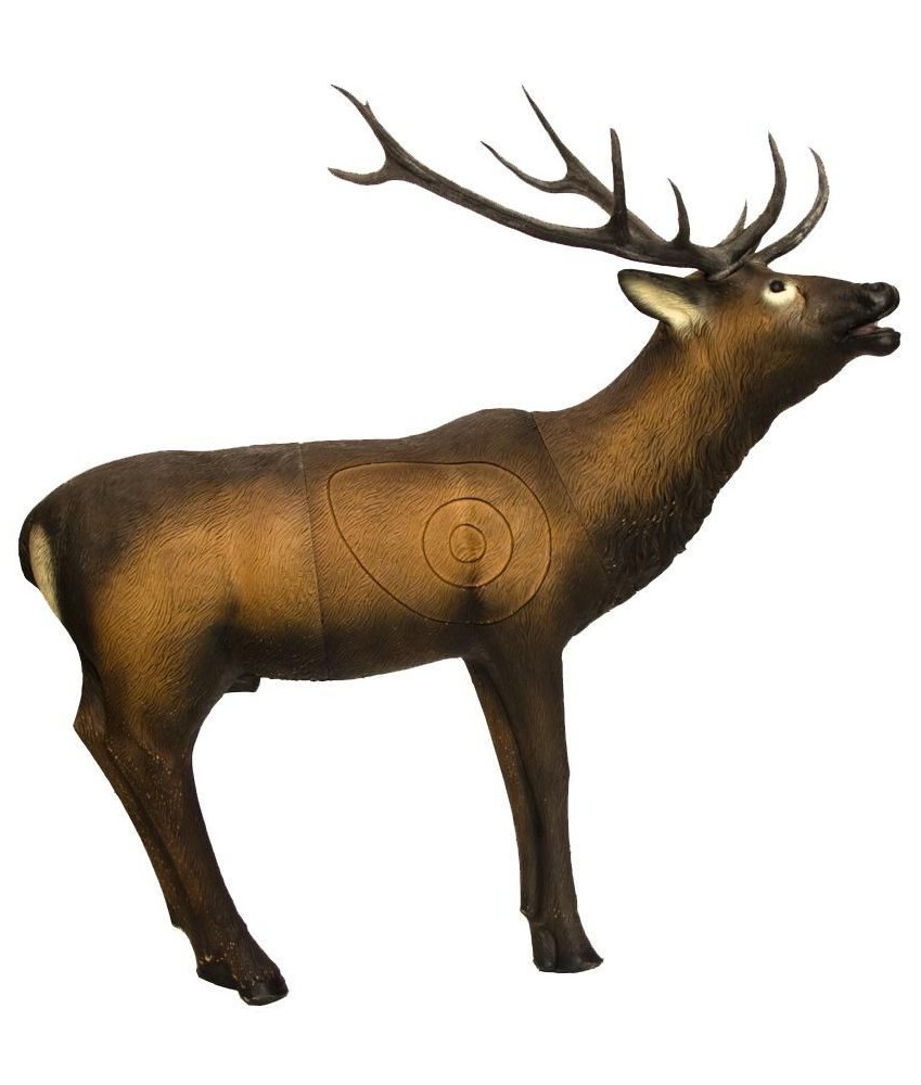 SRT - Cible 3D Cerf Rouge (Elk)